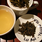 Lu An from La Septième Tasse