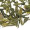 Cocomint Green from Adagio Teas