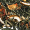 Passionately Orange Green Tea from Fusion Teas