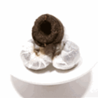 Yunnan Tuocha from Teance