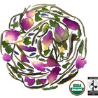 organic wild rose white from Rishi Tea
