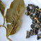 Si Ji Chun Oolong (Spring 2011) from Tea Masters Blog