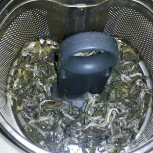 white monkey from Teas Etc