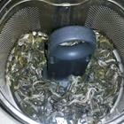 white monkey from Teas Etc