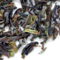 Darjeeling SFTGFOP 1 Lingia First Flush from TeaGschwendner