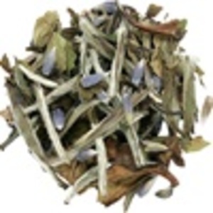 Lavender White Tea from Lupicia