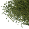 Sencha Shokai from Teaopia