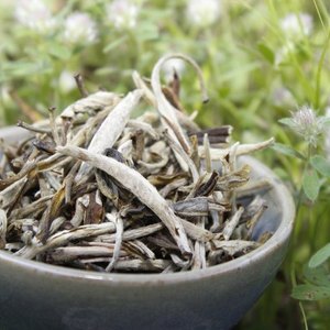 Yunnan White Jasmine from Verdant Tea