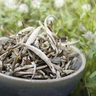 Yunnan White Jasmine from Verdant Tea