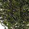 Kabusecha Takamado 2011 from Camellia Sinensis