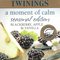 vanilla apple blackberry from Twinings