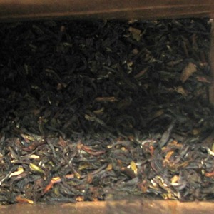 Darjeeling Sunshine Earl Grey from Say Tea
