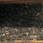 Darjeeling Sunshine Earl Grey from Say Tea