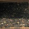 Darjeeling Sunshine Earl Grey from Say Tea