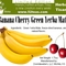 Banana Cherry Green Yerba Mate from 52teas