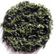 SF024  Guricha (Tamaryokucha) B - from Ureshino, Saga from Chado Tea House