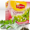 Cidreira - Melissa from Lipton