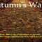 Autumn's Walk from Custom-Adagio Teas