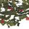 Pomegranate Green from Adagio Teas