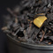 Marzipan from Shaktea