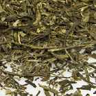 Gorgeous Geisha from T2
