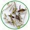 Bai Mu Dan from Dobra Tea
