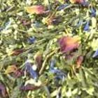 Enchanted Forest from Sereni Tea