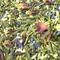 Enchanted Forest from Sereni Tea