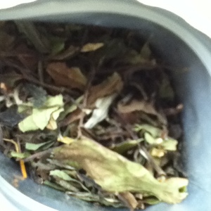 Organic Mango/Pear from Premium Steap