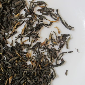 East Frisian Leaf Blend from KTeas