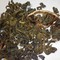 Lemon Green from Le Thè