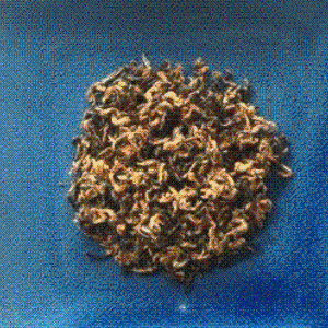 Zhen Qu Tea from Stash Tea Company