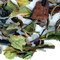 South India White Oothu from TeaGschwendner