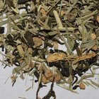 Lemon Ginger Snap from The Scented Leaf