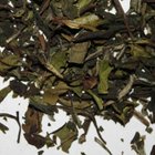 Honeybell Orange Blossom from The Scented Leaf