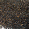 Roasted Yerba Mate from Fusion Teas