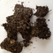 Aged green pu-erh cake from The Republic of Tea
