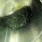 'Kyoto Hills' Sencha, Asamiya from Postcard Teas