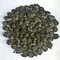 2011 Darjeeling Second Flush Rohini Pearl Green Tea from DarjeelingTeaXpress