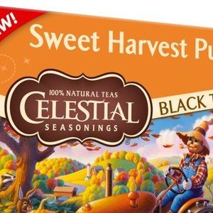 Sweet Harvest Pumpkin from Celestial Seasonings