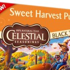 Sweet Harvest Pumpkin from Celestial Seasonings