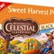 Sweet Harvest Pumpkin from Celestial Seasonings
