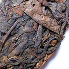 Pu Er 1999 Old Tea Tree from Camellia Sinensis