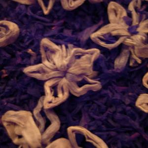 Starry Night from Art of Tea