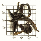 ZO97: Feng Huang Dan Cong from Upton Tea Imports
