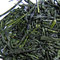 Gyokuro Shuin from Camellia Sinensis