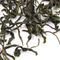 Cloud and Mist from Zhi Tea