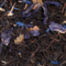 Fort George Blend from Victoria's Teas and Coffees