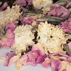 White Rose from Teas Etc