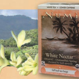 White Nectar Osmanthus Spring from Numi Organic Tea